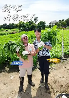 中餐厅第九季 综艺 2025 王恬